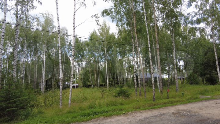 Участок 12 сот. (СНТ, ДНП)
