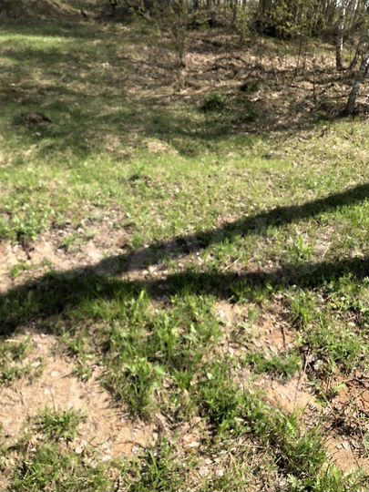 Участок 16,5 сот. (ИЖС)