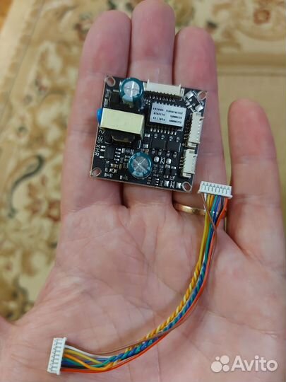 Платаы новая