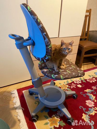 Детский стул Moll Maximo Forte