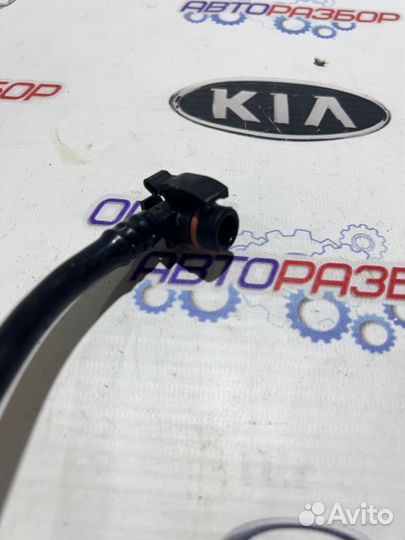 Трубка вакуумного усилителя тормозов Nissan