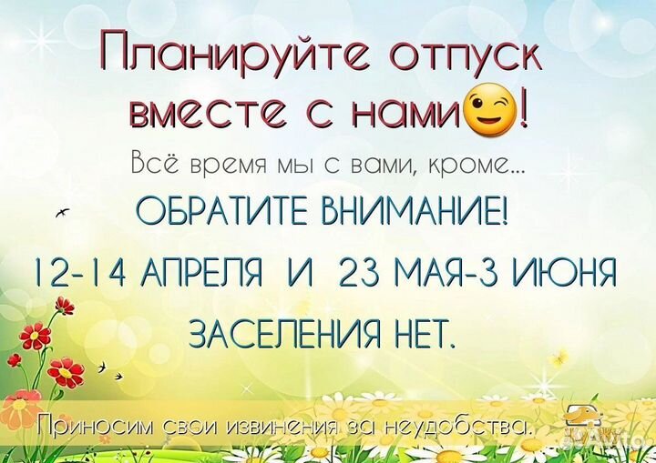 Передержка собак. Зоогостиница