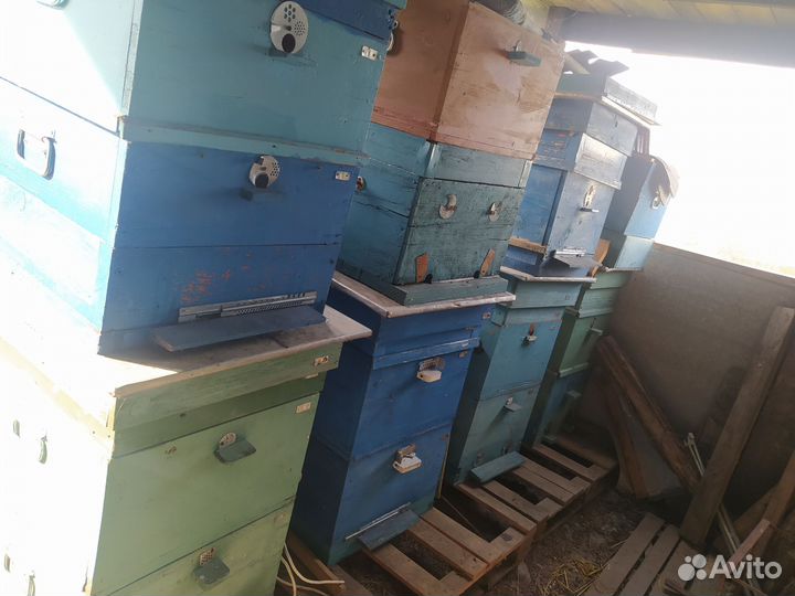 Ульи дадан на 12 рамок