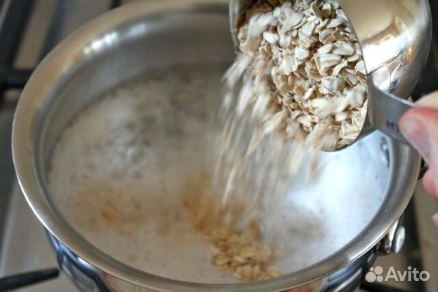 Геркулес для собак