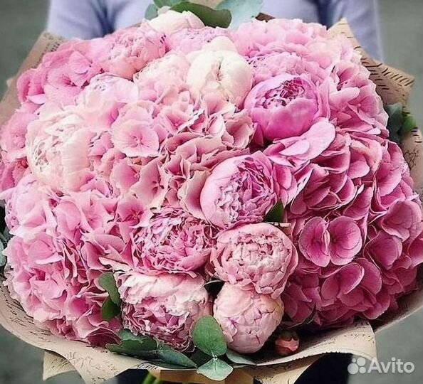 Пионы Букет