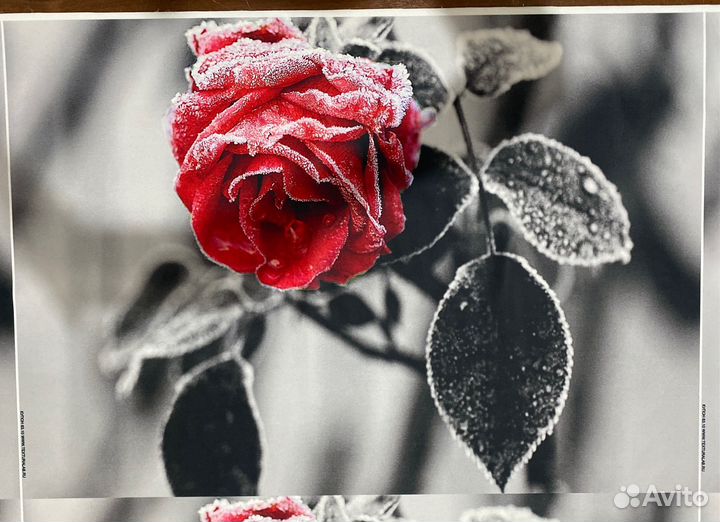 Мебельная ткань для подушек Велюр и Рогожка Купоны