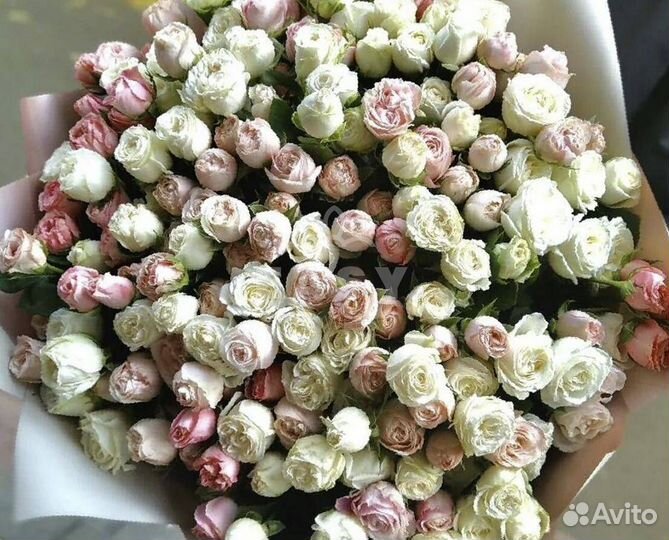 Пионы опт Цветы пионы Букет пионов. букет цветов