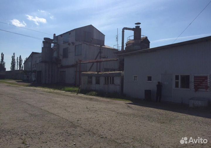 Маслозавод 55 т/сутки