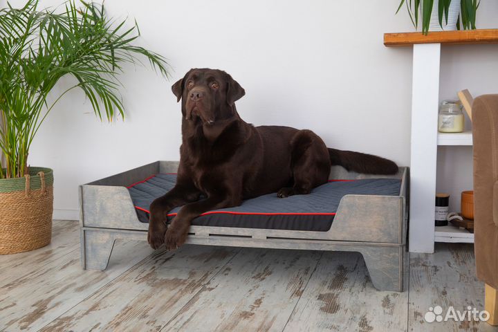 Кровать-диван для собак средних и крупных пород