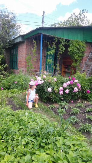 Дача 40 м² на участке 6 сот.