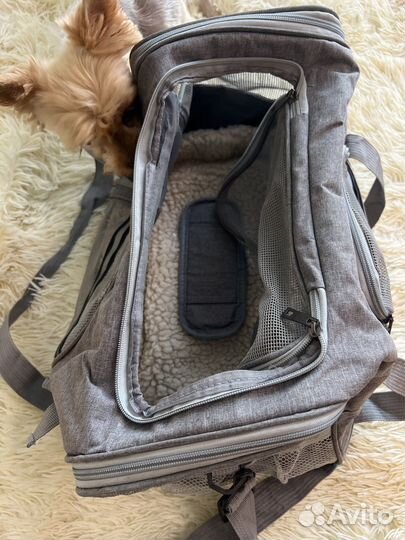 Сумка для собак