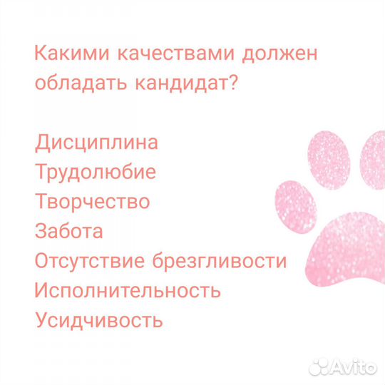 Курсы груминга