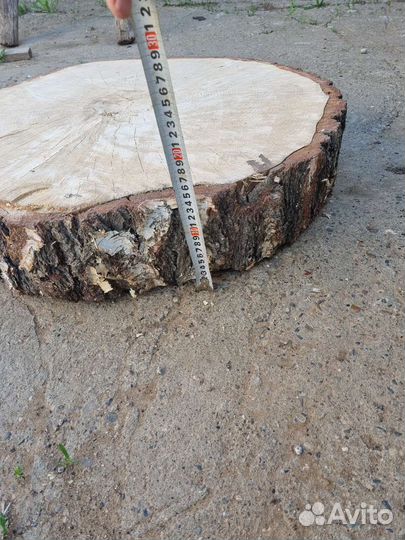 Спил сухой берёзовый. 70см