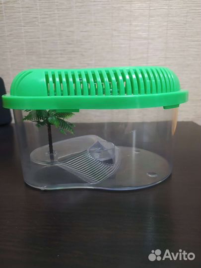 Террариум маленький