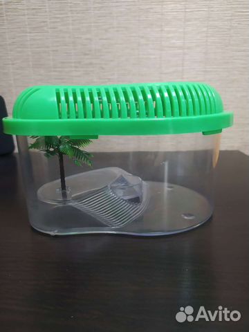 Террариум маленький