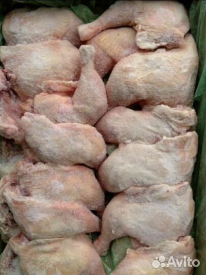 Курица, окорочка, бёдра, грудка