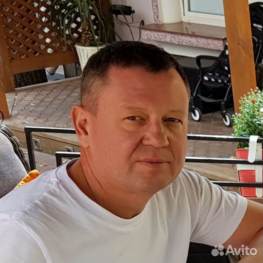 Руководитель, заместитель руководителя