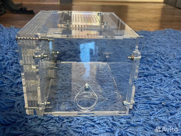 Формикарий муравьиная ферма