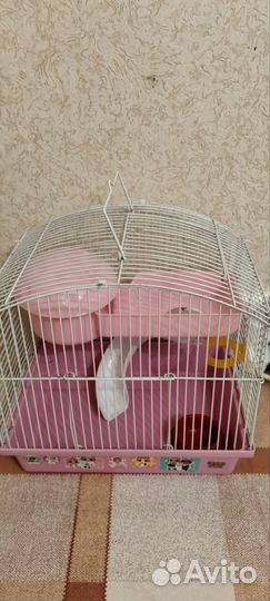 Клетка для джунгарского хомяка