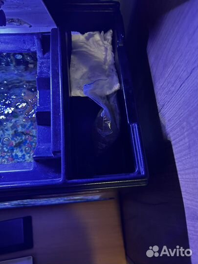 Аквариум с рыбками