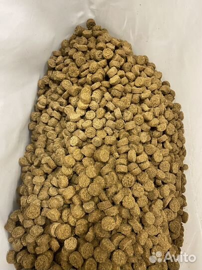 Корм для собак