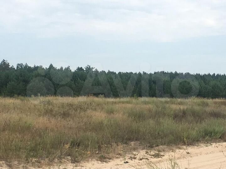 Участок 31 сот. (ИЖС)