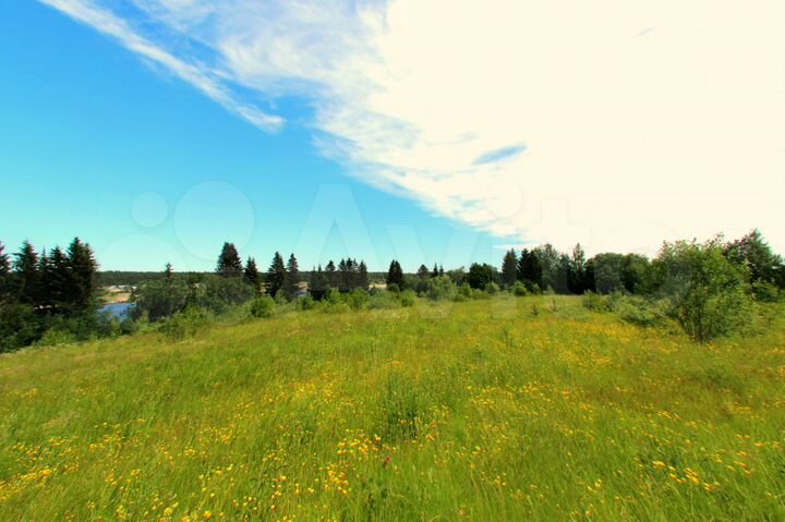 Участок 50 сот. (ИЖС)