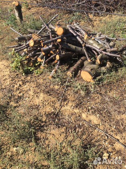 Дрова фруктовые хорошего качества