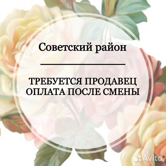 Продавец (совесткий район)