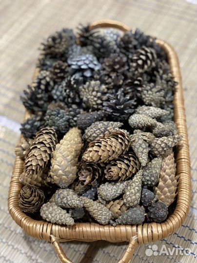 Шишки для декора