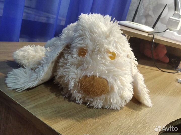 Собака, Заяц