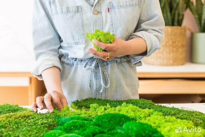 Зеленый декор: панно из мха для вашего дома Арт: 213516