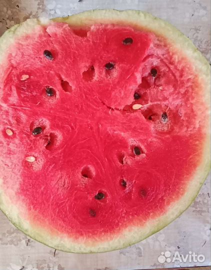 Арбузы
