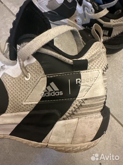 Баскетбольные кроссовки adidas Dame 7 Damenosis