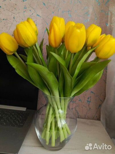 Тюльпаны