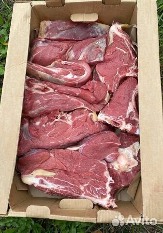 Мясо говядина