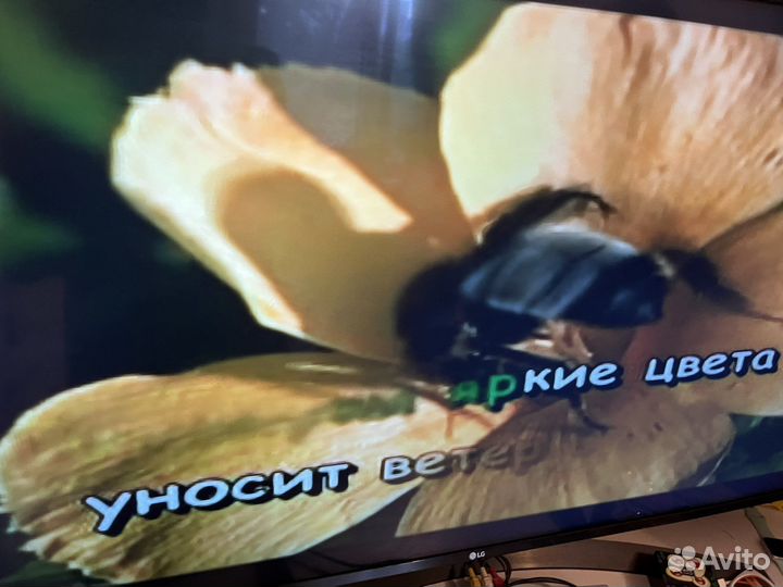 Dvd плеер с караоке lg