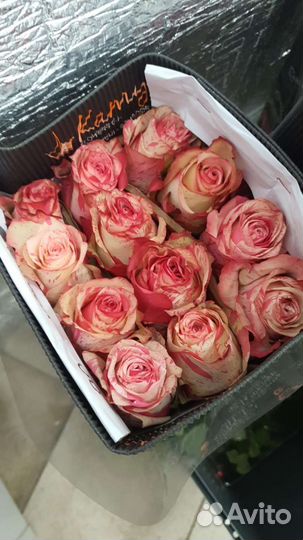 Свежие букеты из розы. Премиальная роза Эквадор