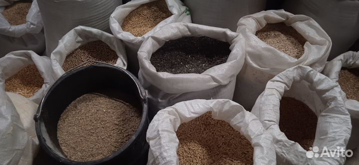 Зерно. Комбикорм. Корма для животных