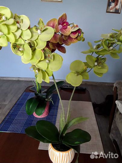 Орхидея (латекс)