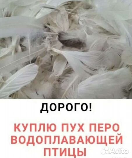 Пух перо перины подушки