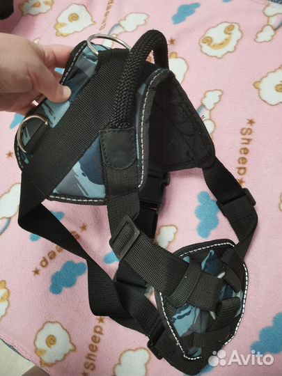 Шлейка для собаки