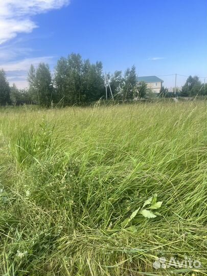 Сено в Мешках