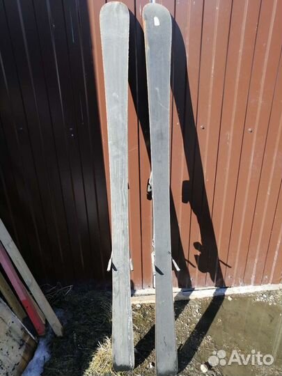 Горные лыжи