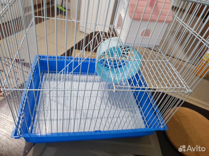 Клетка для сирийского хомяка