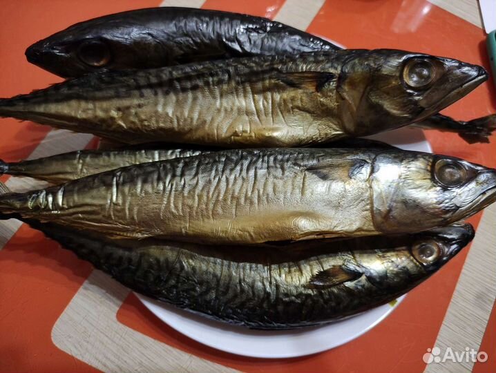 Домашняя тушенка, скумбрия х, г/к, грудинка, филе