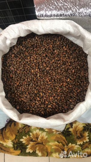 Кедровый орех оптом от Производителя