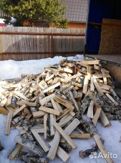 Дрова береза
