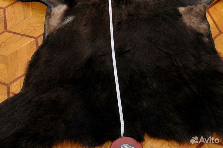 Шкура медведя имитация с головой