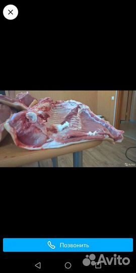 Продам домашнюю свинину